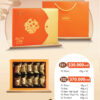 lafeve 101 102 2025